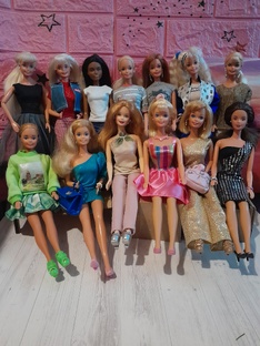 Кукольная перепись май 2025г.