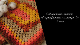 СП "Разноцветный челлендж 3"