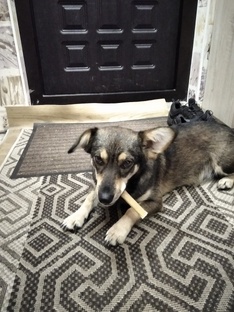 Герда и компания