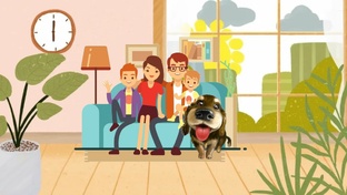 Счастливые истории: собаки нашедшие дом