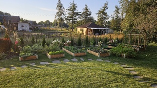 Высокие грядки 