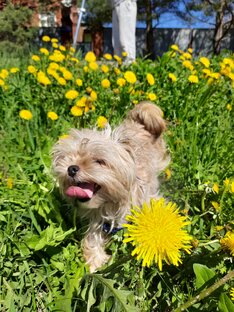 Смех продлевает жизнь