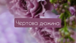 Чертова дюжина