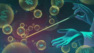 Регенеративная медицина