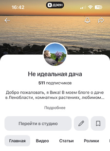 Дзен-секреты. Советы и статистика