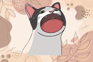 ржачные видосы