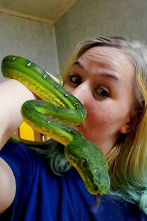 Наша коллекция