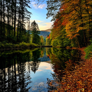 Размышления на разные темы