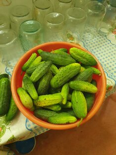 Огурцы