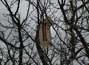 Поделки для братьев наших меньших своими руками.