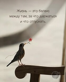 Мудрость Слов: цитаты Великих людей
