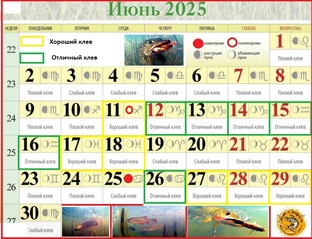 Календарь активности рыбы 