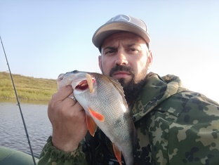 Добро пожаловать на мой Дзен...
