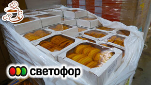 🚥Светофор