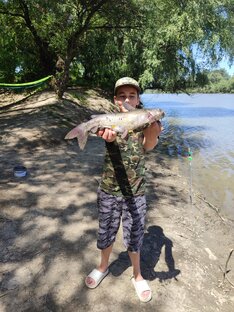 РЫБАЛКА НА КУБАНИ. 