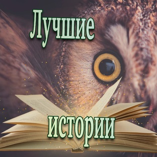 Лучшие истории