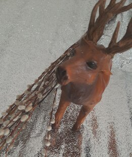 Alla & АрктикА