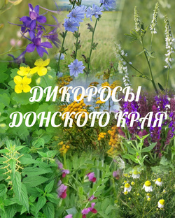 Дикоросы Дона 