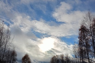 Наша планета