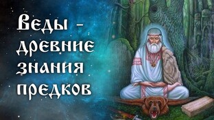 Веды. курс 1
