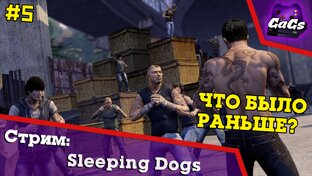 Sleeping Dogs