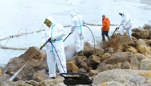Разлив мазута в Черном море и другие ЧП в Анапском районе и Краснодарском крае