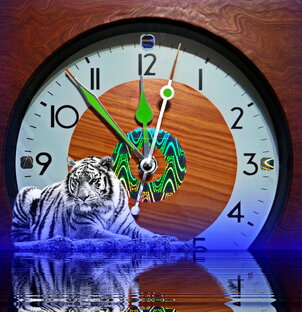 Птицы, пауки и другие представители животного мира 