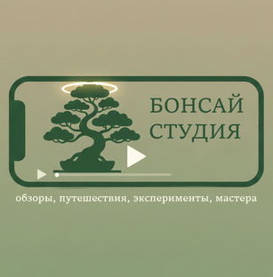 Наши ролики