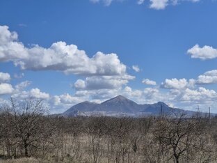 Календарь природы