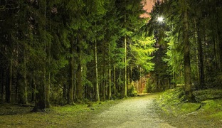 Услышанное в ночи