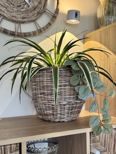 Плетем кашпо (корзинку)