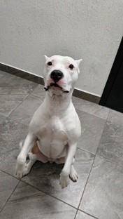 Мила и её Истории