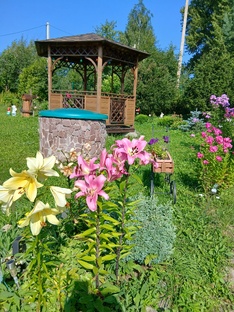 Мой сад на берегу лесного озера