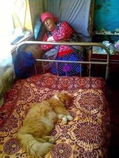 Жизнь в Сибири