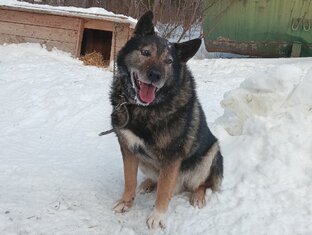 Спрашивайте - отвечаем 
