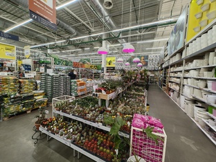 Обзоры магазинов и покупок