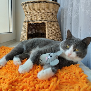 КОТЬКА-МОТЬКА😹