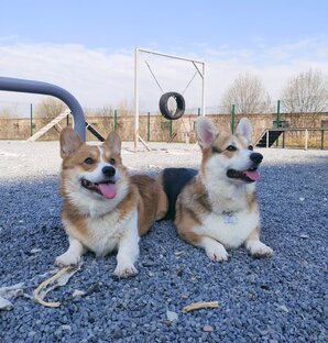 Моя Банда🐺