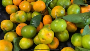 Поездка в Абхазию 