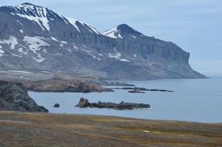 Чужие берега