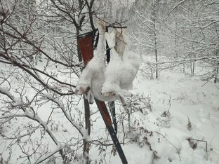 Зимняя охота