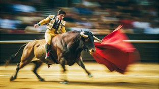 Заблуждения про животных