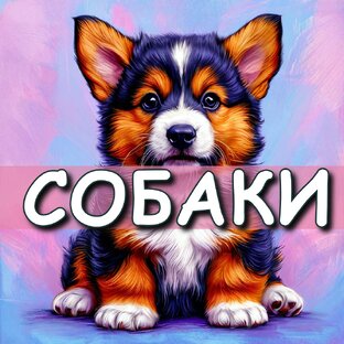 Собачьи истории