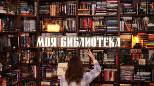 Книжные полки