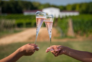 игристые вина