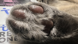 Выход на крышу