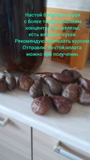 Чем полезна Настойка Бобровая Струя?