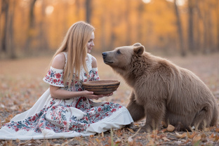 Истории из регрессий