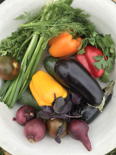 Готовим на огне 