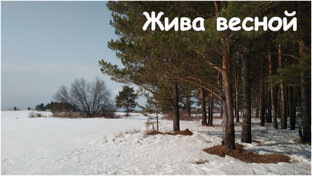 2017 год - понимаю Родную Землю